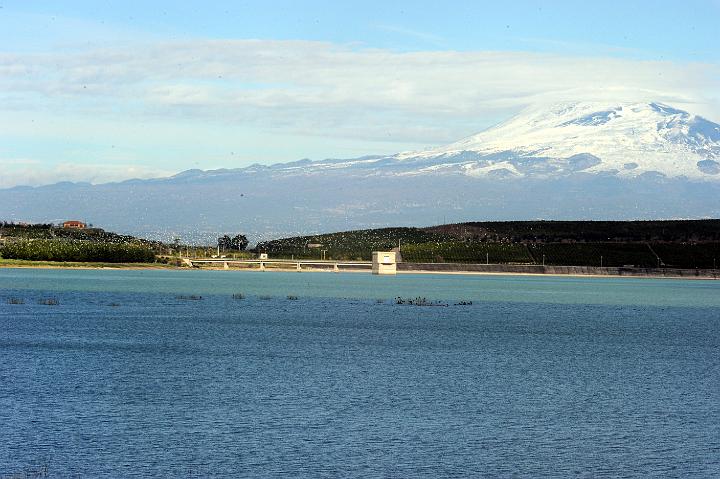 Biviere di Lentini 23.1.2011 (148).jpg